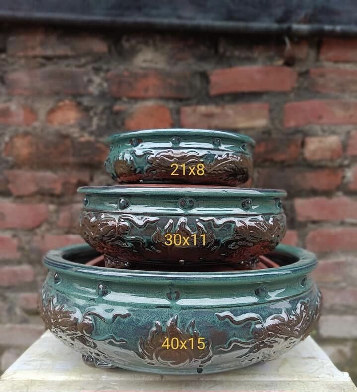 Chậu tròn trồng cây bonsai
