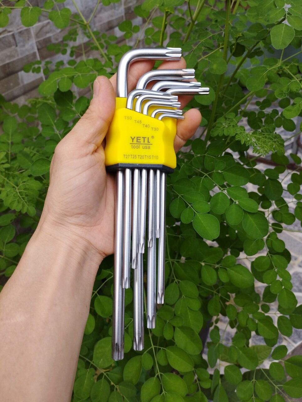Bộ lục giác Bi hoặc Hoa Thị Yeti