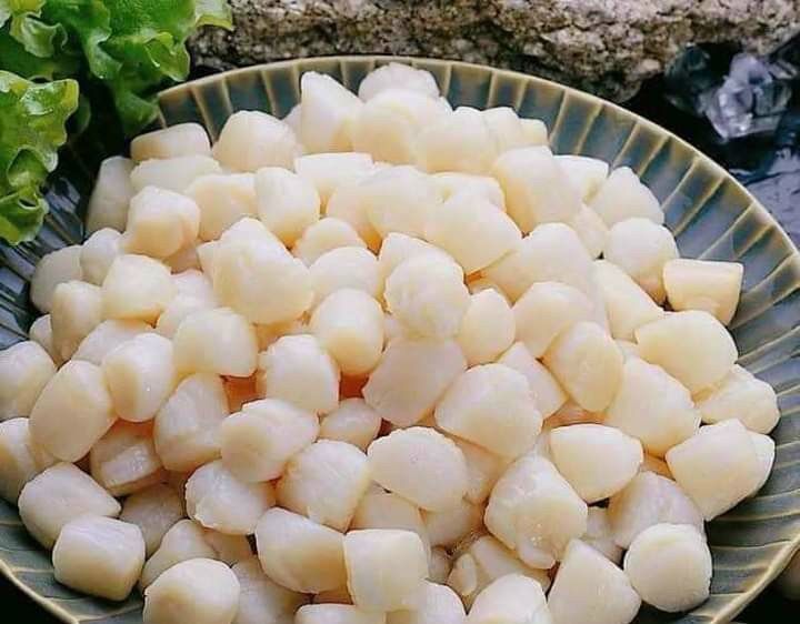 1kg Còi Sò Điệp (giao nhanh 2h tphcm)