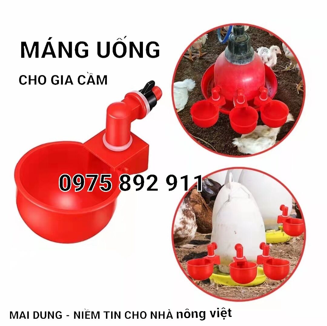10 cái Máng uống tự động gắn xô cho gà vịt ngan , chim