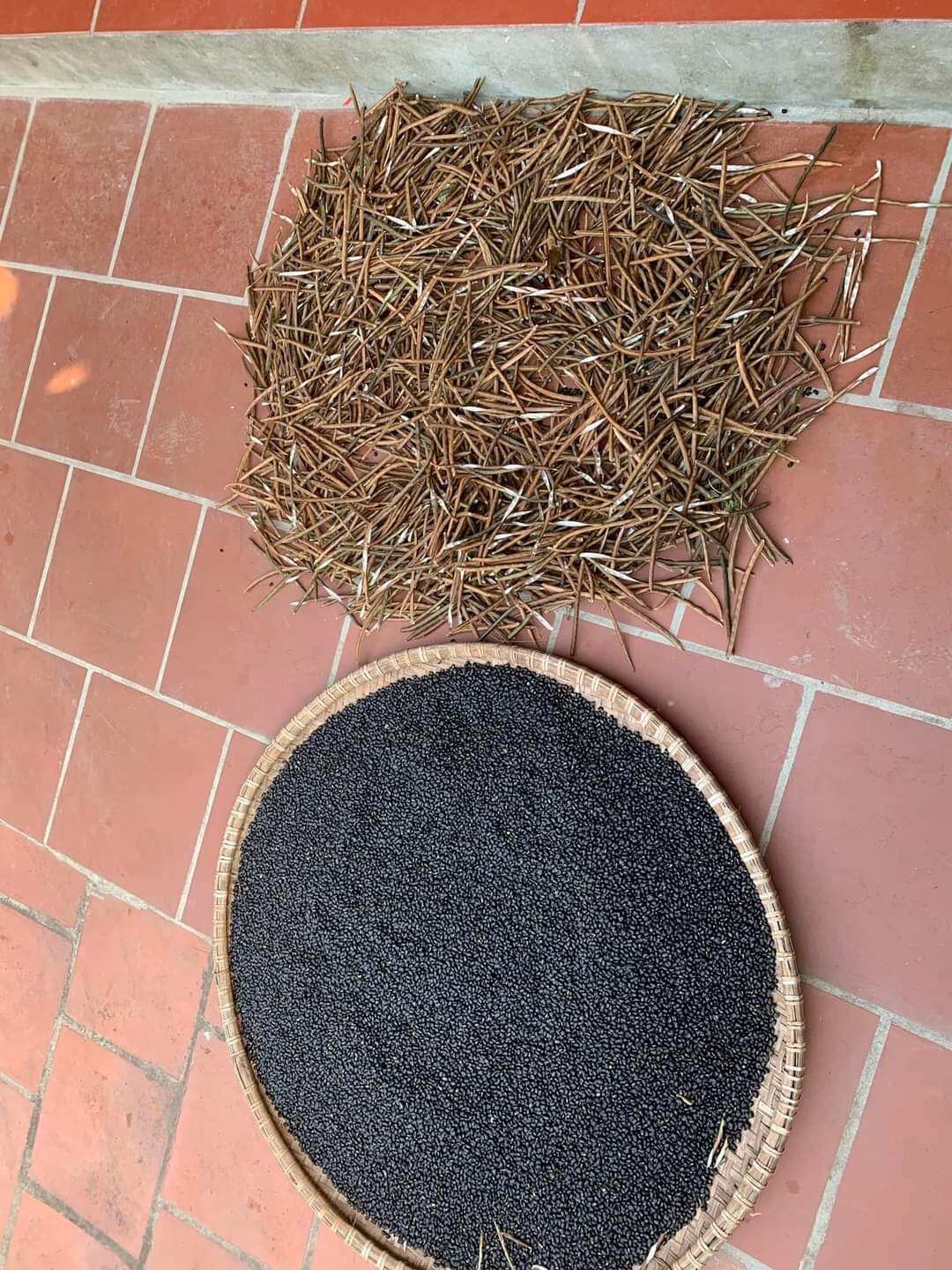 đỗ (đậu) đen xanh lòng 1kg