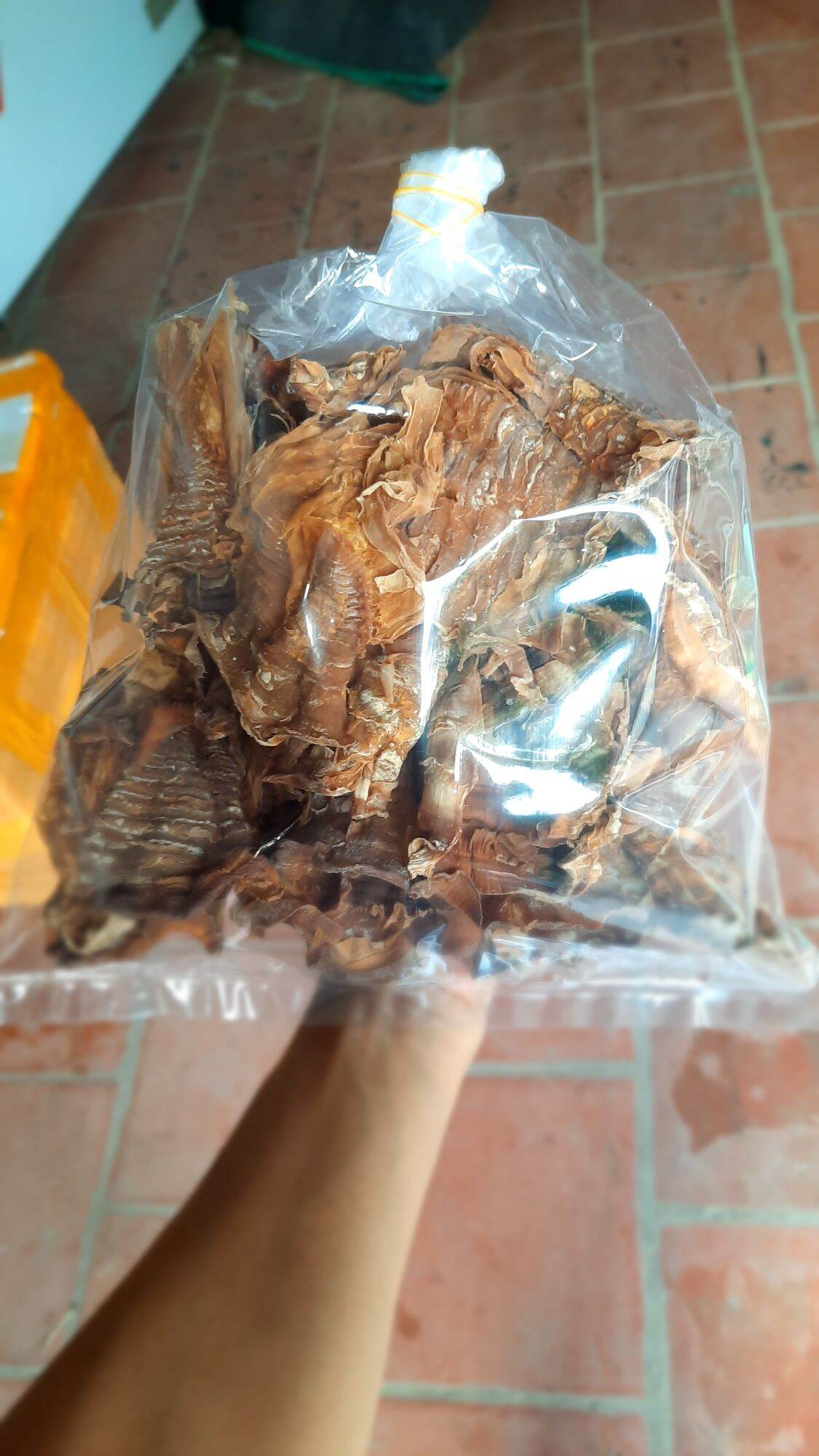 MĂNG NỨA MẦM (loại non) TÂY BẮC