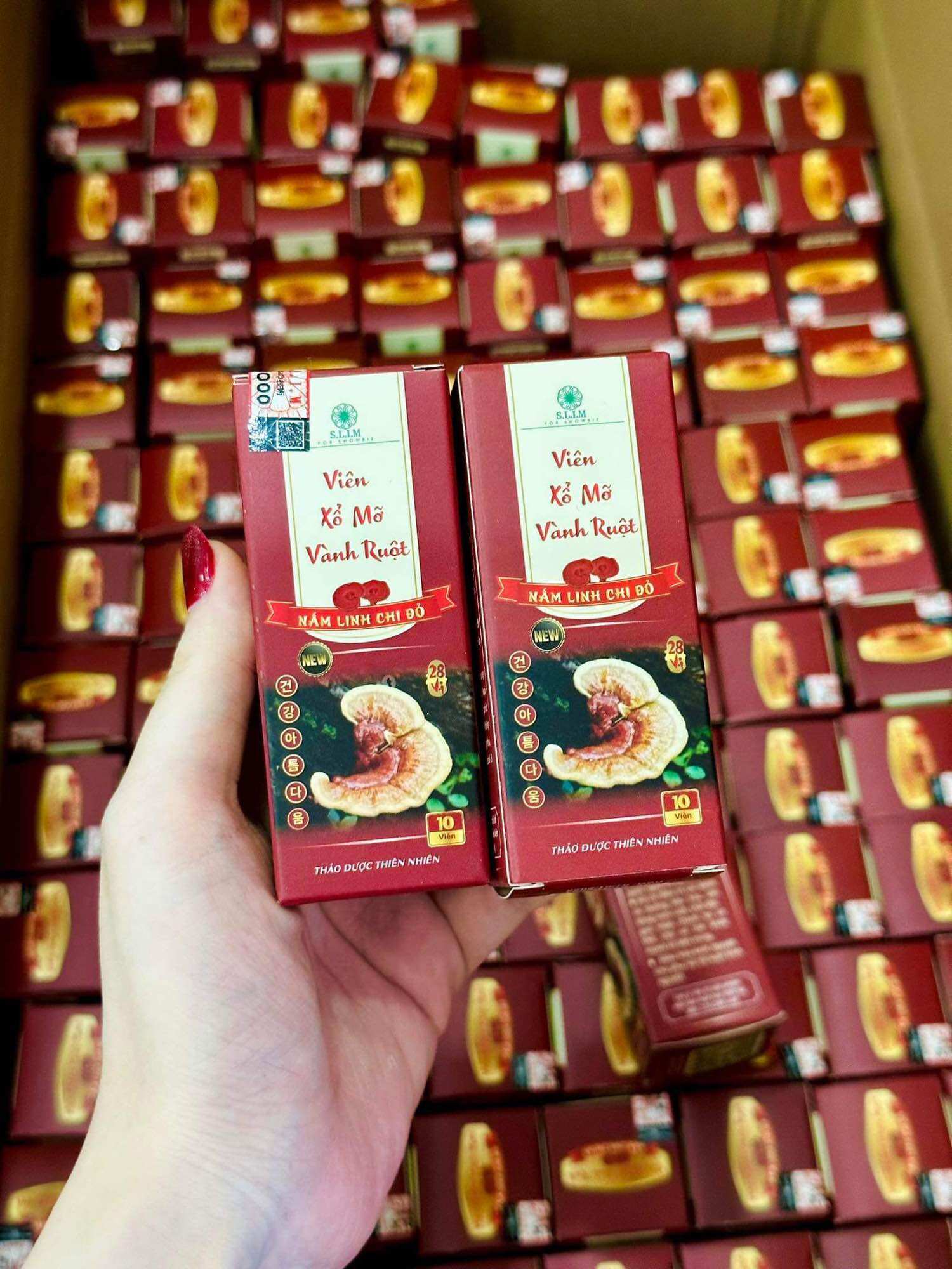 Viên Xổ Mỡ Vành Ruột – linh chi đỏ