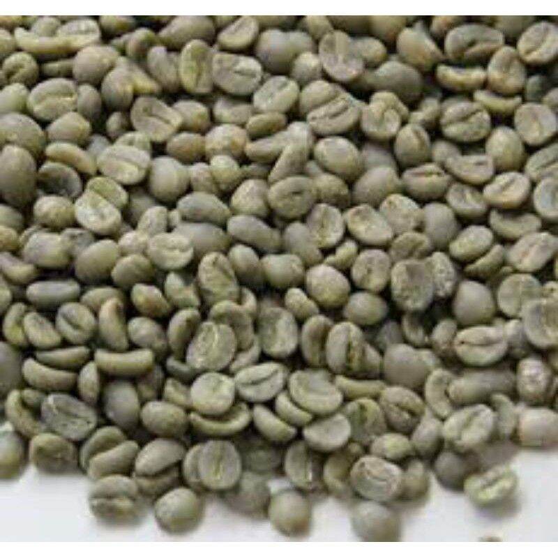 1 KG Nhân Cà phê sống robusta( ĐẸP TUYỂN CHỌN)