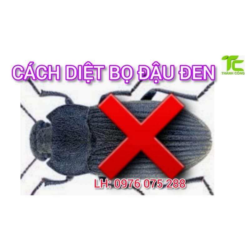 Thuốc diệt Bọ Đậu Đen hiệu quả sau 1 lần phun