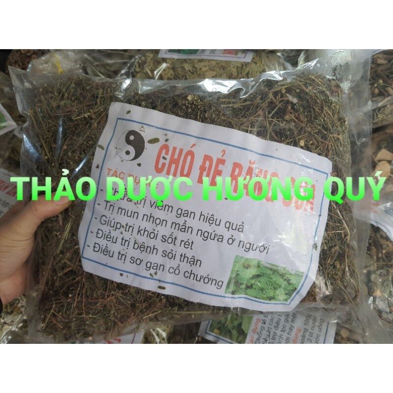 1kg cây chó đẻ răng cưa
