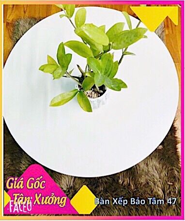 Bàn tròn gỗ mdf