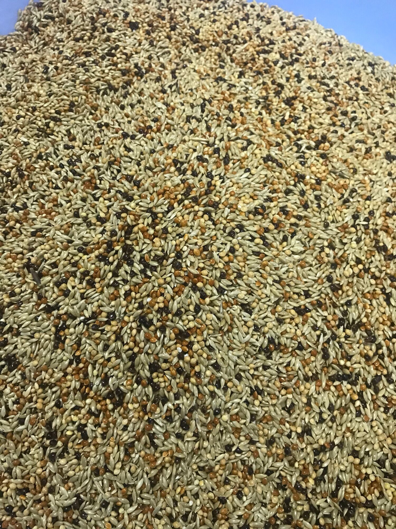 HẠT TRỘN YẾN HÓT…{ Gói 1kg }