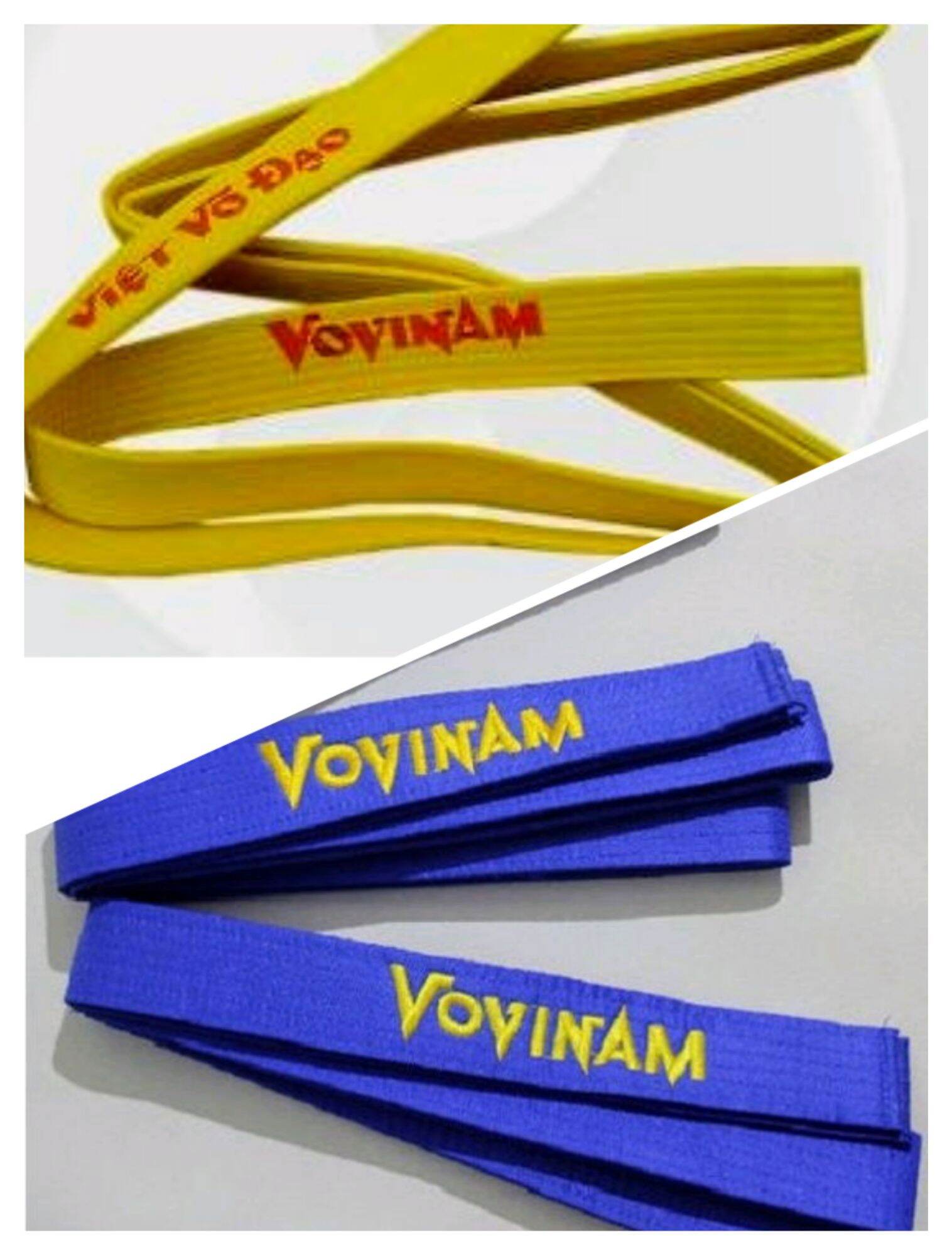 Đai Thêu Vovinam