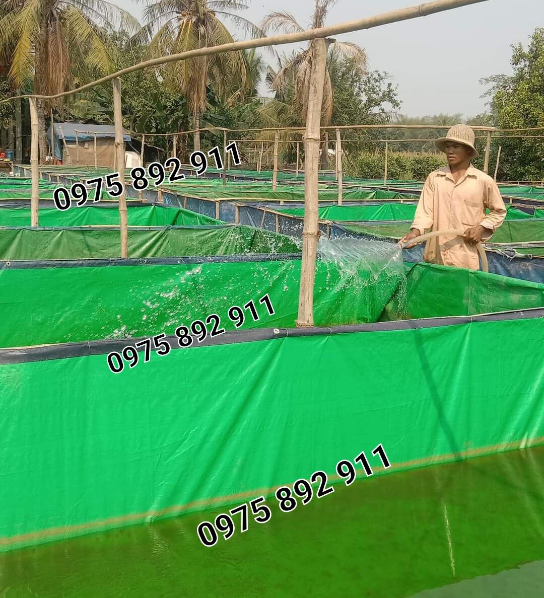 Bể bạt nuôi ốc , ếch cá , xanh bộ đội
