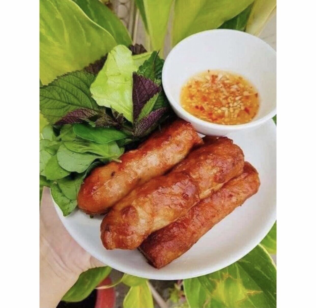 Nem nướng nha trang 500g
