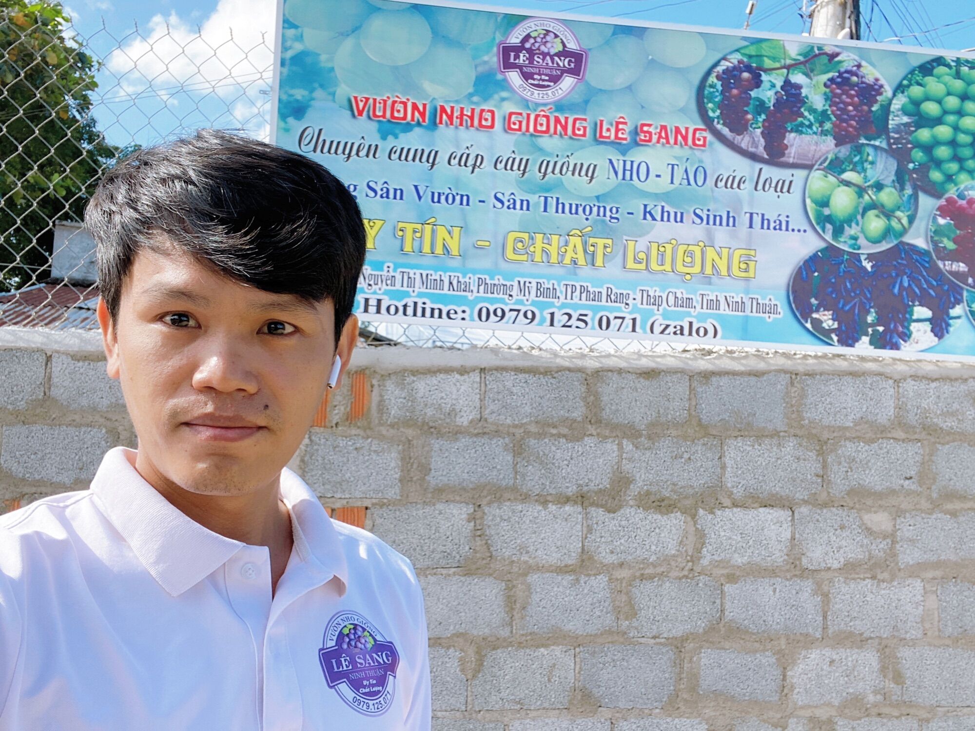 Cây Táo Thái Giống Siêu Trái