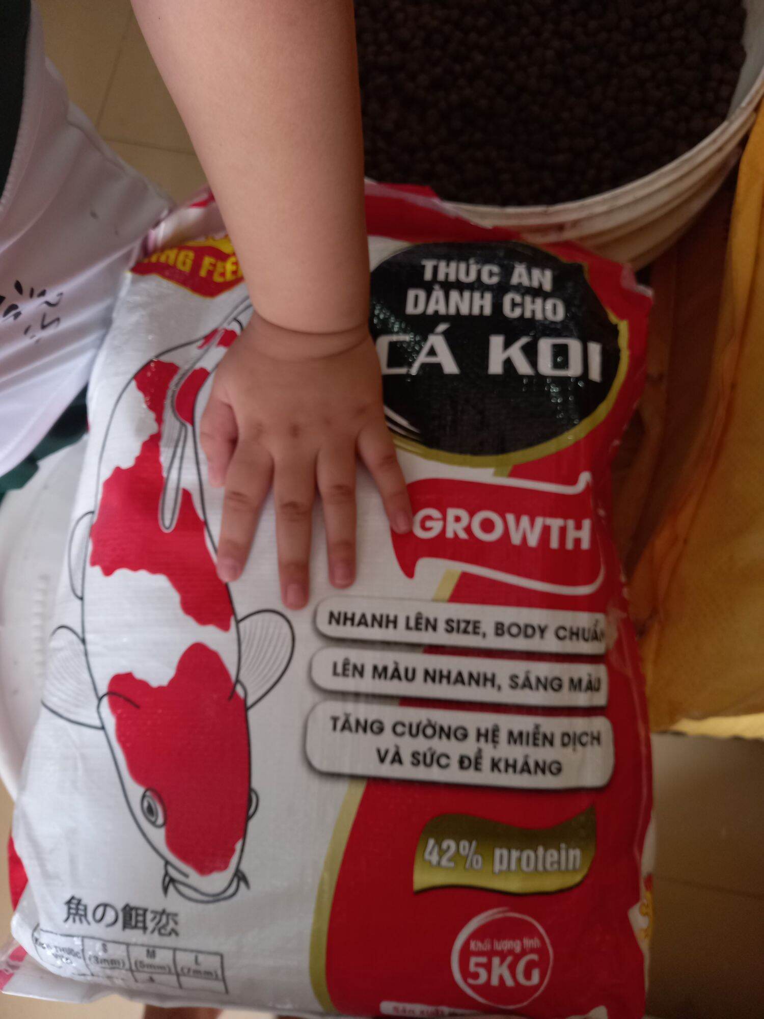 1Kg Thức Ăn Cá Koi Kingfeed 6mm, cho cá size 25cm- lớn
