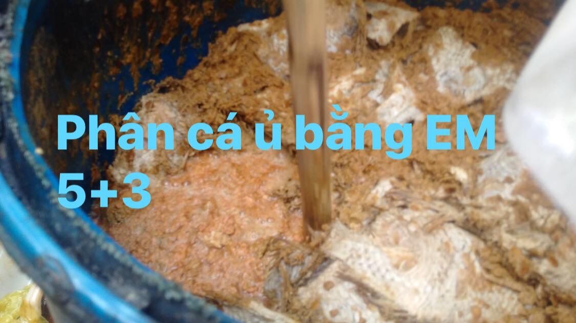Dịch Đạm Cá Nguyên Chất can 30 lít (lên men từ Cp E.M5+3 và được bổ sung 1% Chitosan).