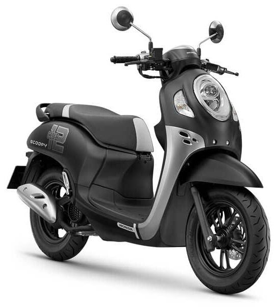 Tem Scoopy 2021 Club 12