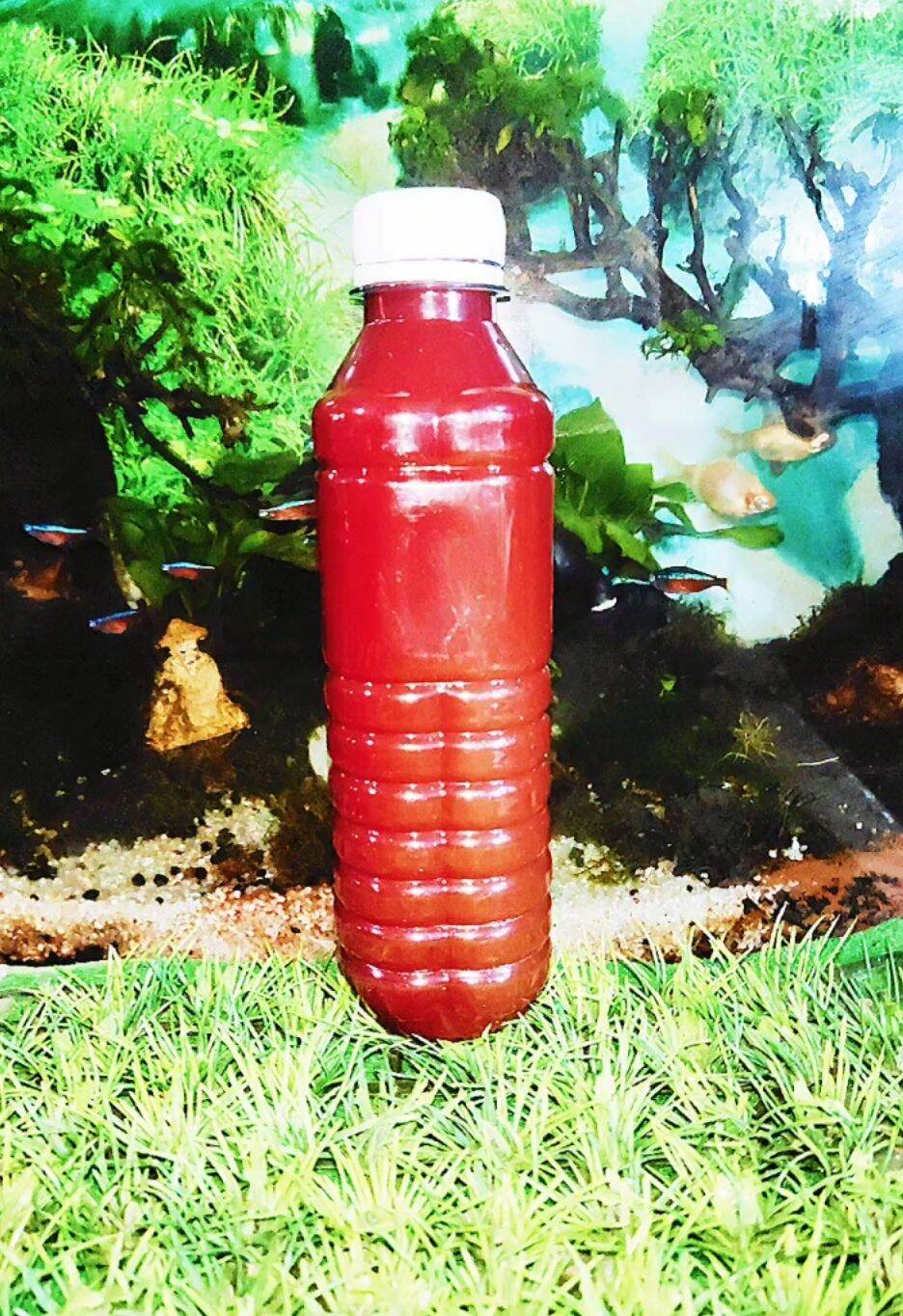 PSB Vi khuẩn quang hợp