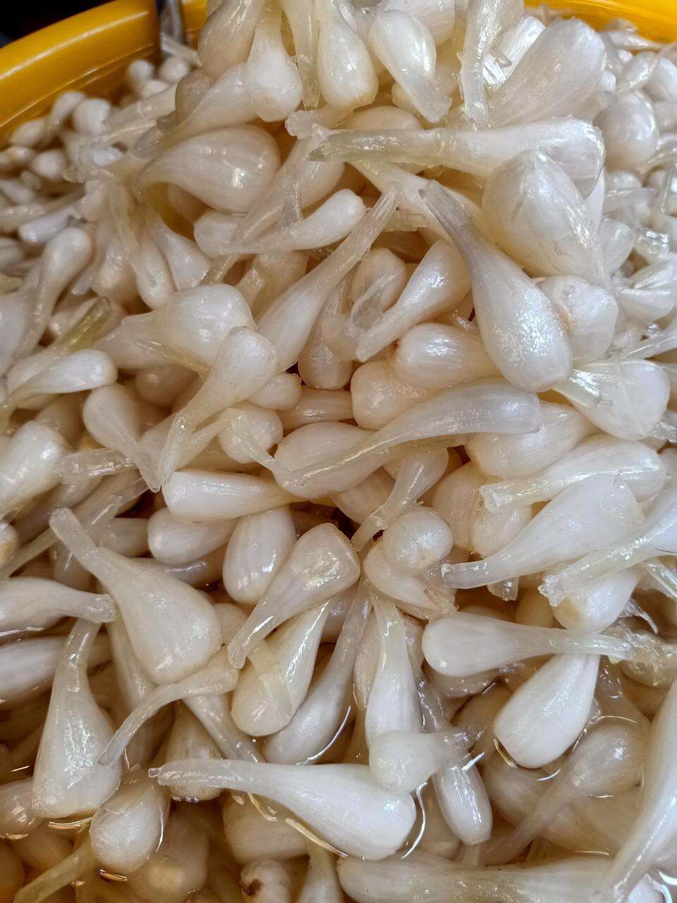 800gr củ kiệu nhà làm