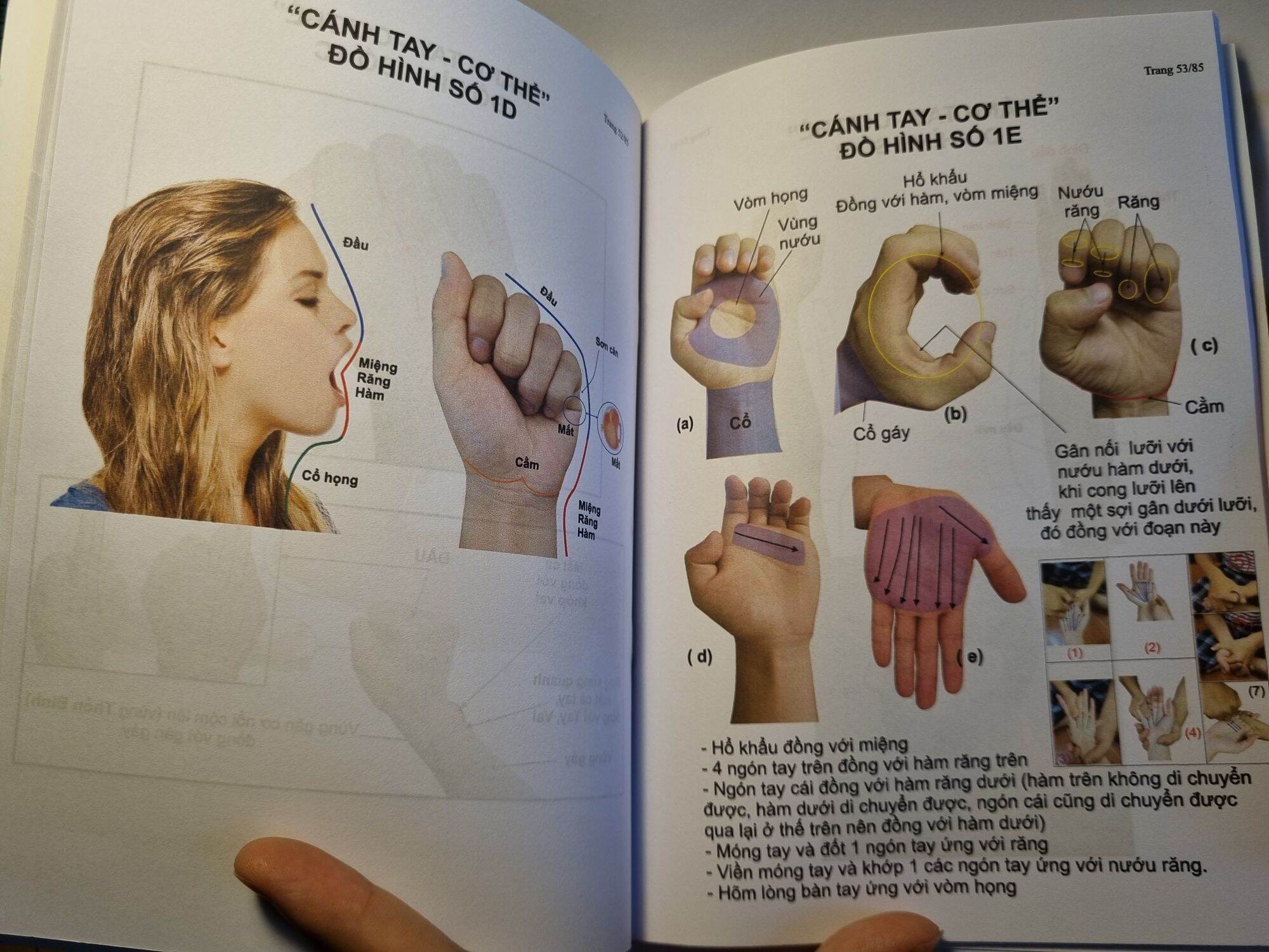 sách đồng ứng - dụng cụ diện chẩn