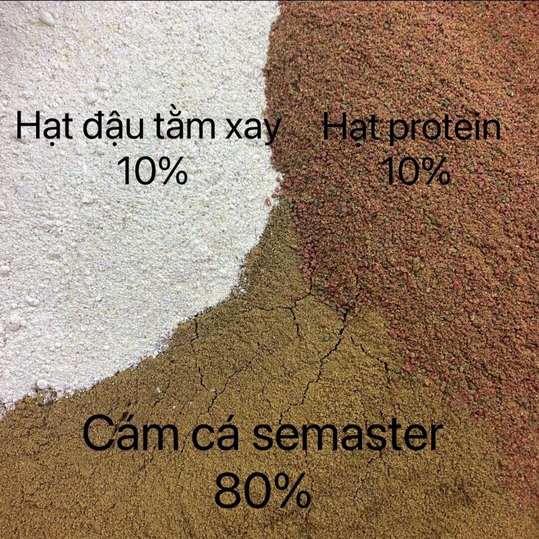 Cám câu chép giòn, chép củ