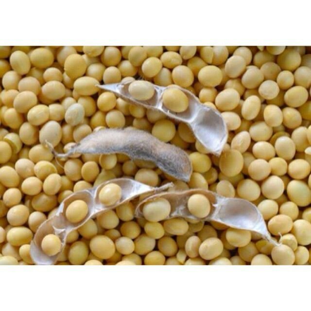 1kg hạt đỗ tương