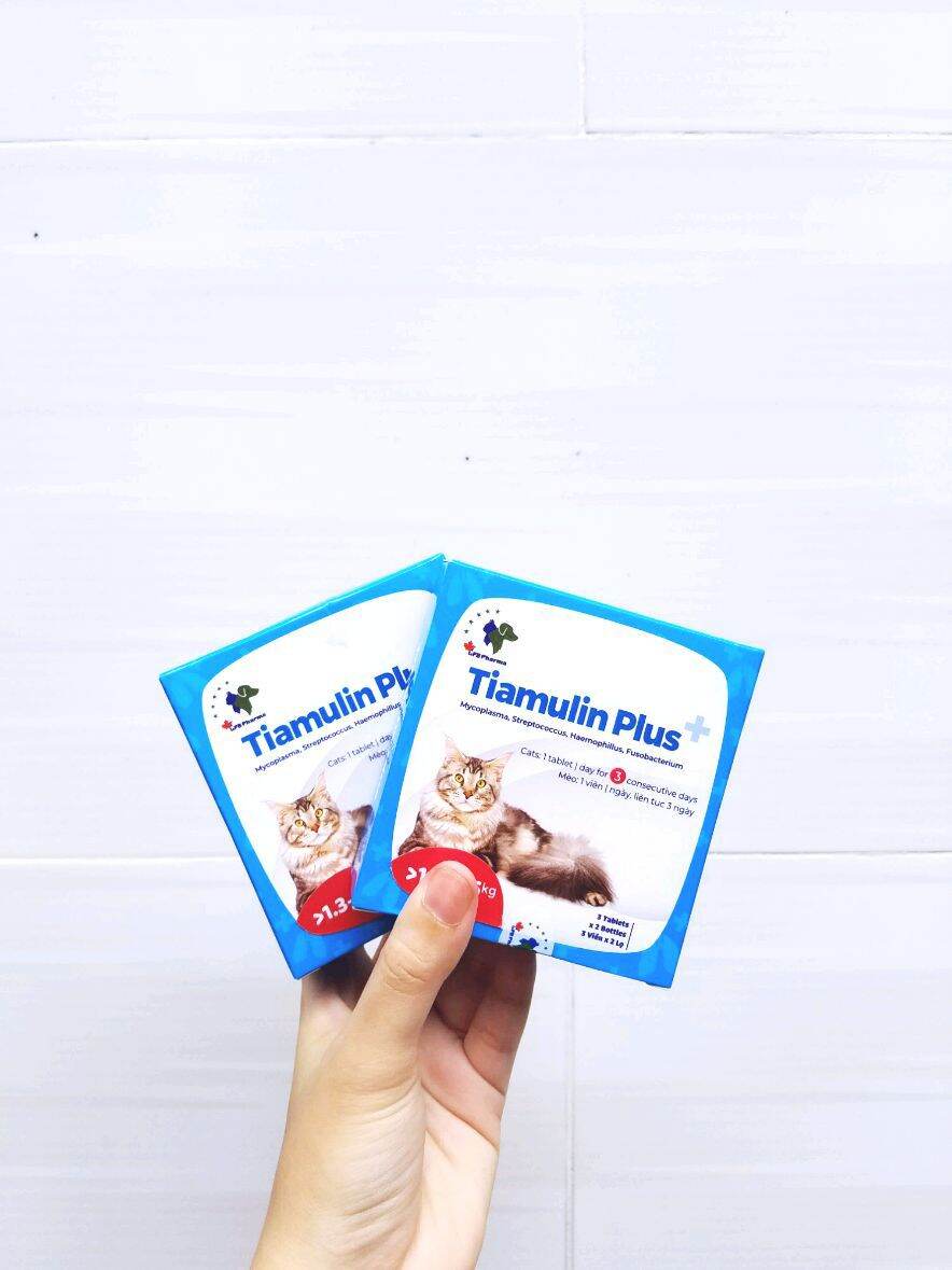 Tiamulin Plus cho mèo hỗ trợ hô hấp (đủ size 0.4-10kg)