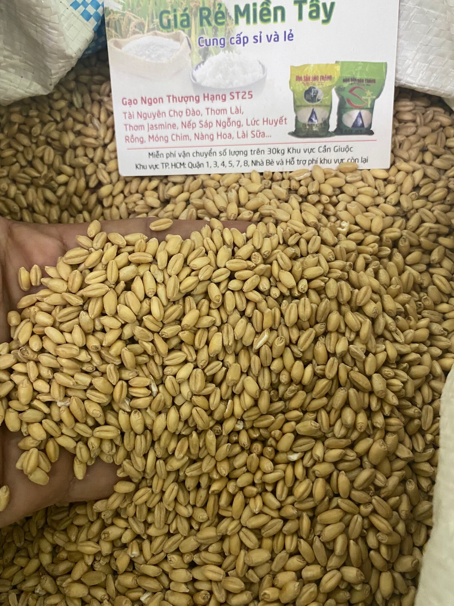 1kg Hạt Lúa Mì Vàng