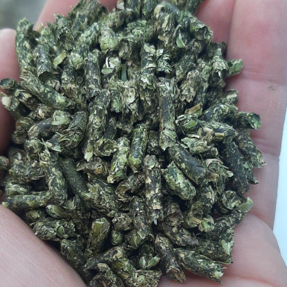 Hcm. 2kg cỏ alfalfa viên 3ly dành cho bọ ú , thỏ kiểng ....