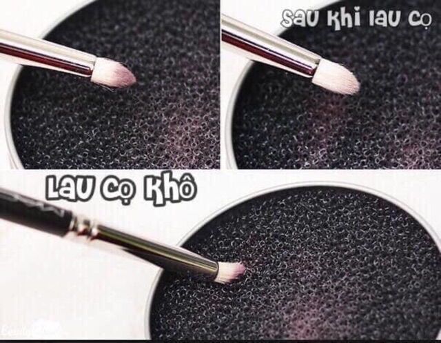 Rửa cọ khô lau cọ khô
