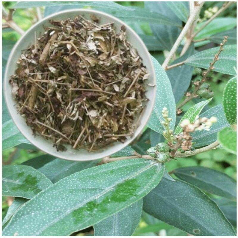 500gr lá khổ sâm khô thơm sạch.