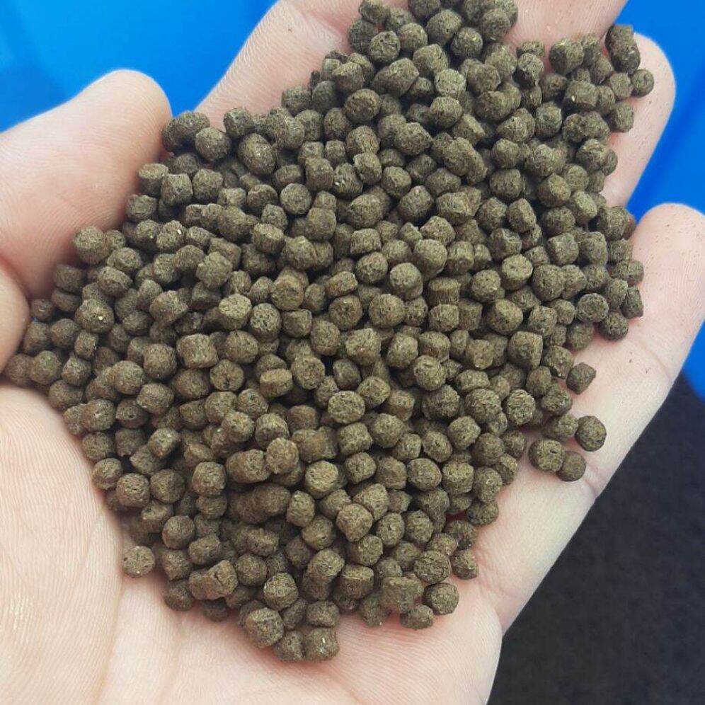 5kg Thức ăn cá koi , beta , 3 đuôi.... viên 3ly. tặng kèm 1 hủ muối tây ninh 100g.
