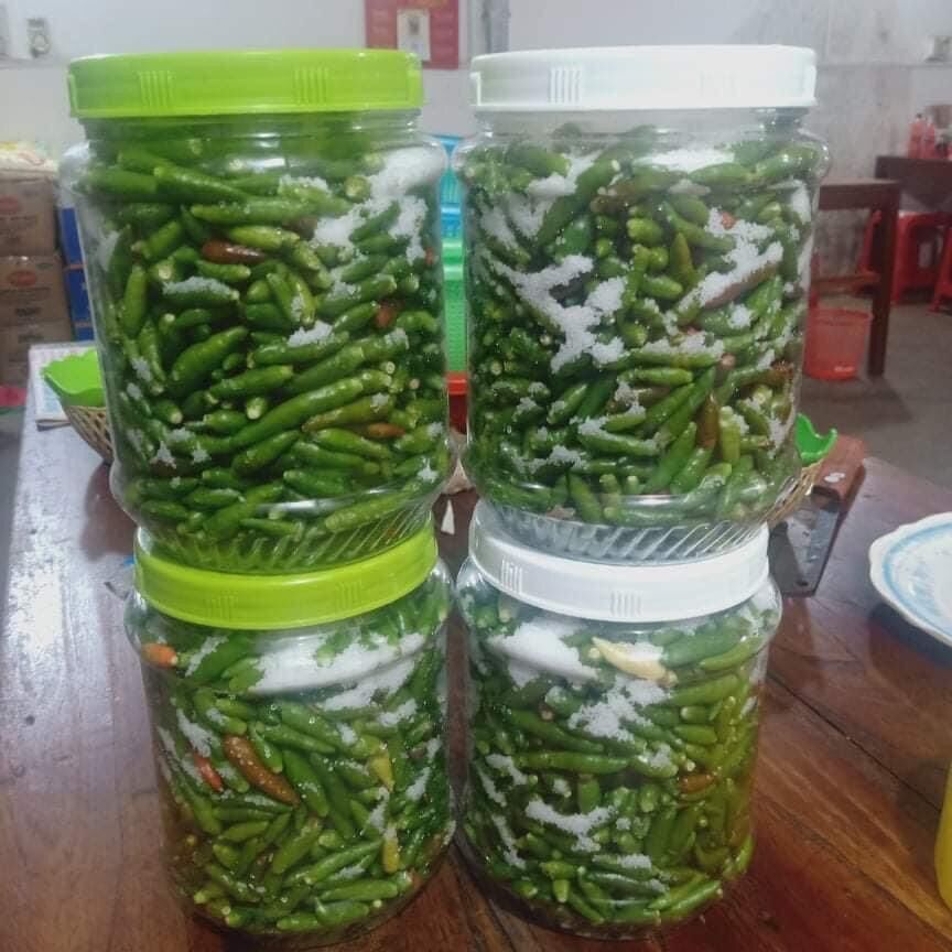 Ớt thóc xanh sóc tỏi muối ( bình 1kg giá 200k)