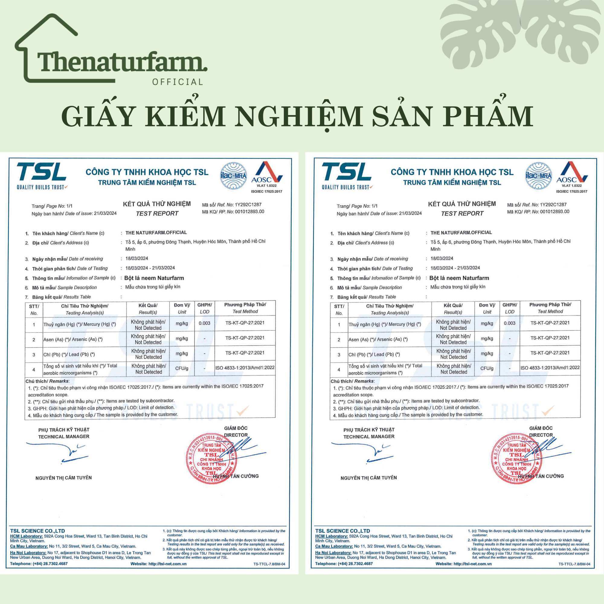 Bột lá neem ấn độ đắp mặt [ túi dùng thử 15gr ]