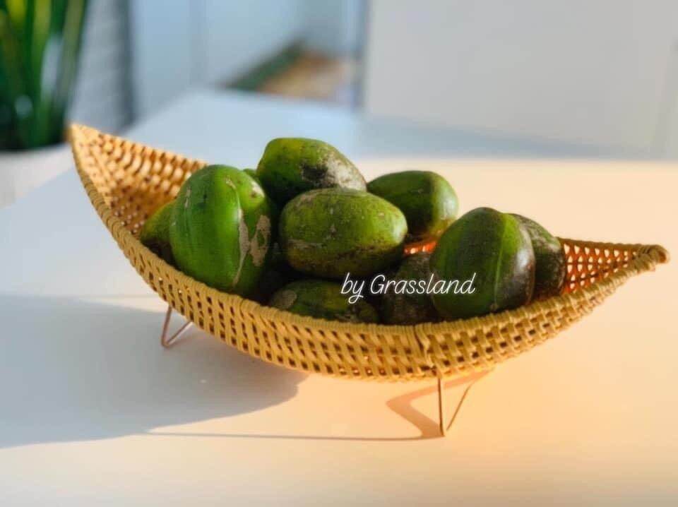 Khay nhựa giả mây dạng thuyền