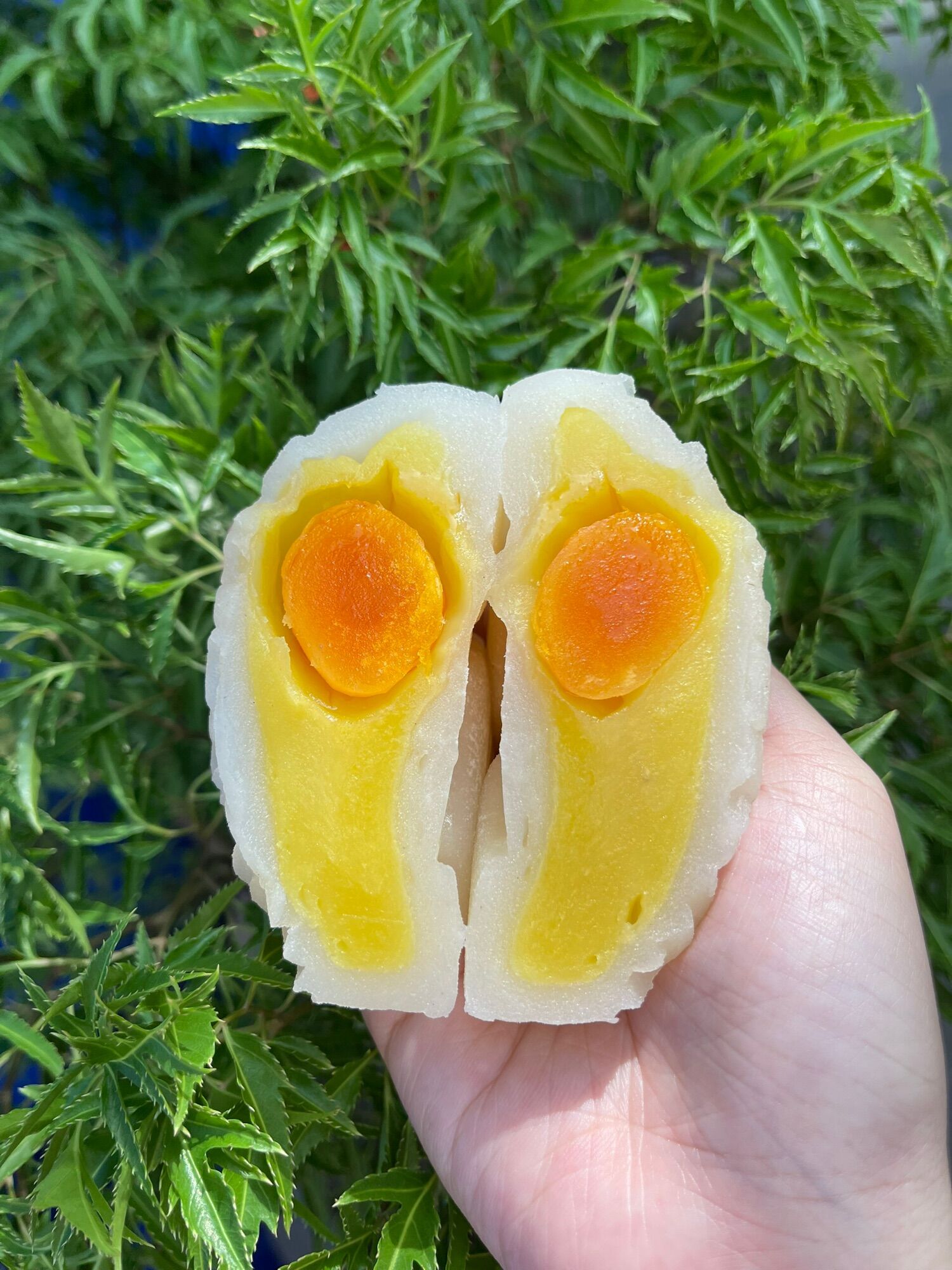 Bánh bánh trung thu tân dân lợi 200g - 2 trứng