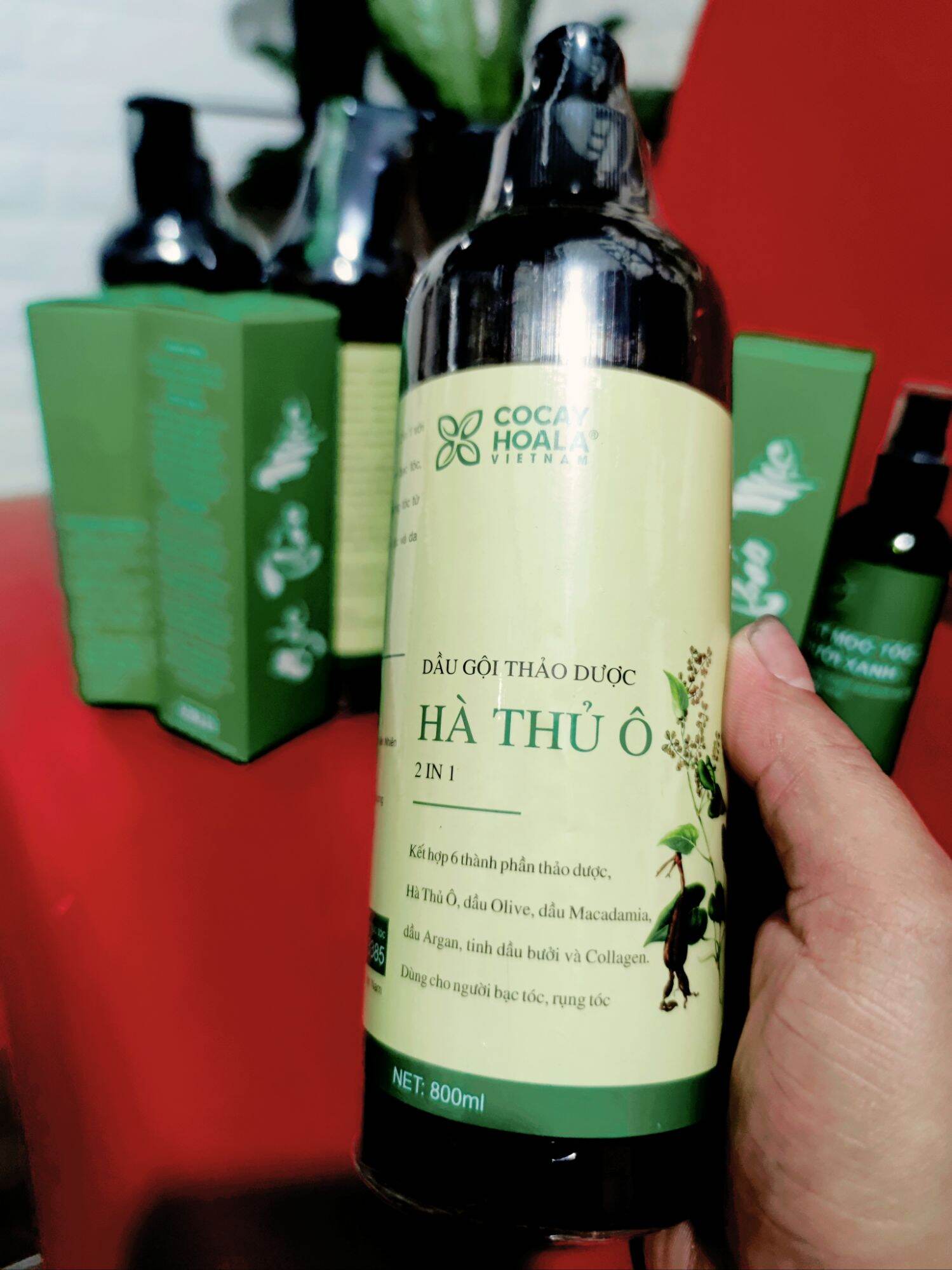Dầu gội Hà Thủ Ô dầu gội hà thủ ô tặng 1 xịt tinh dầu bưởi, giúp ngăn ngừa rụng tóc, tóc bạc