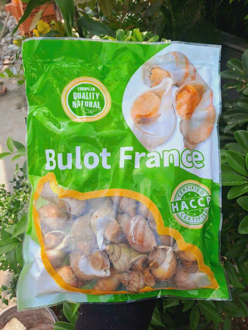 1kg ỐC BULOT PHÁP (size 30-50con)