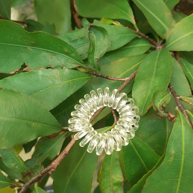 Túi 10 Lò xo cột tóc màu trắng trong suốt (cở nhỏ 2.5cm)