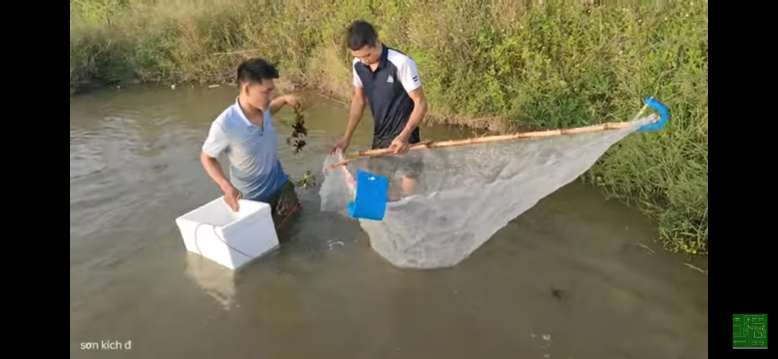 Te bắt tép tôm cá nhỏ,xiếc tôm tép(chú ý chỉ bán lưới)