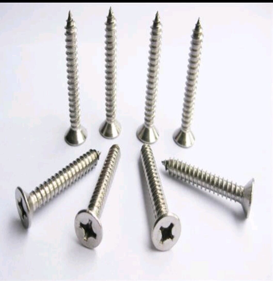 100g vít inox 304