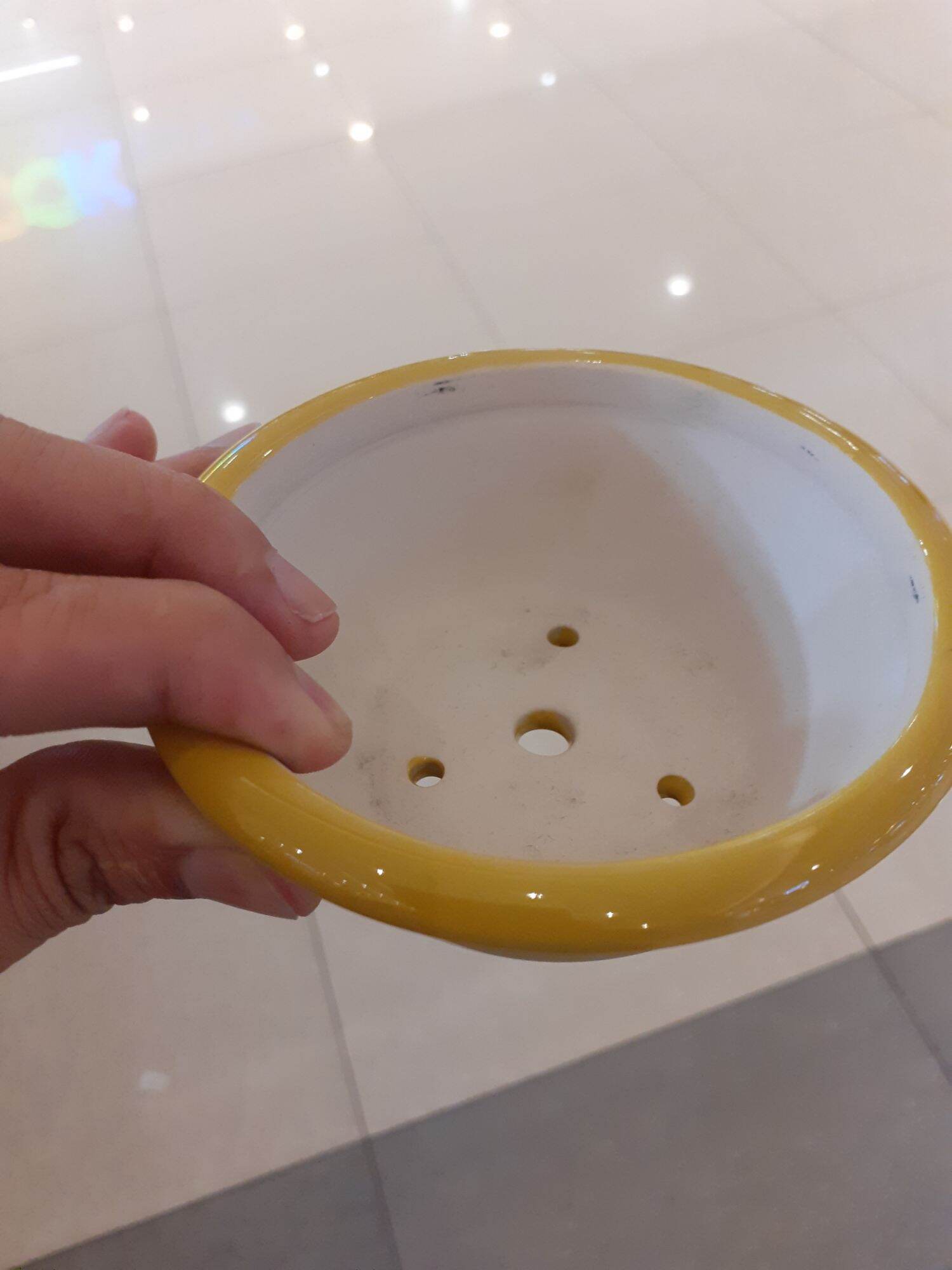 Chậu bon sai mini