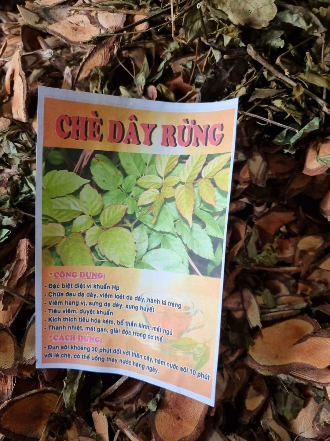 Chè dây rừng tốt cho người bị dạ dày