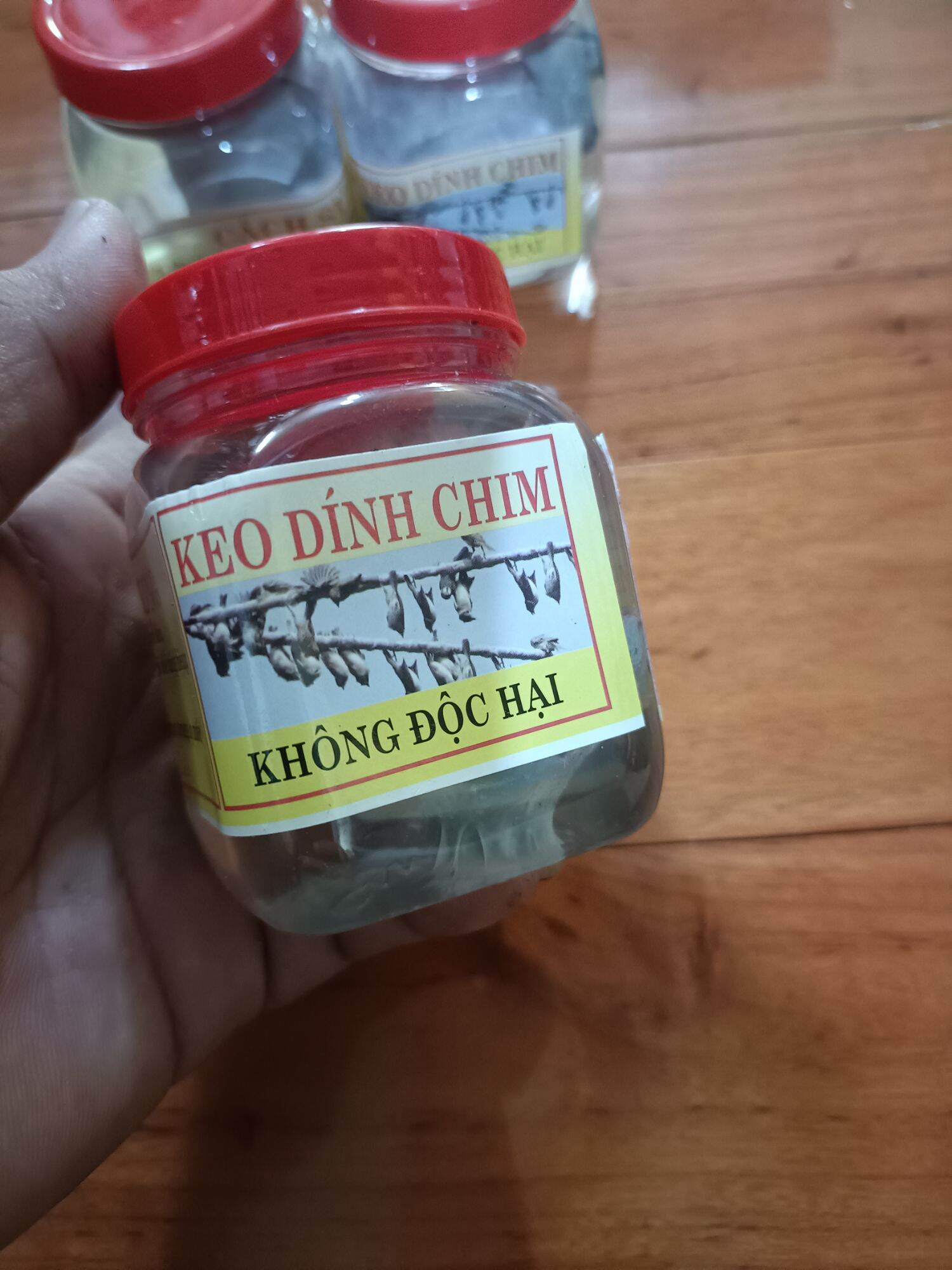 Keo dính chim