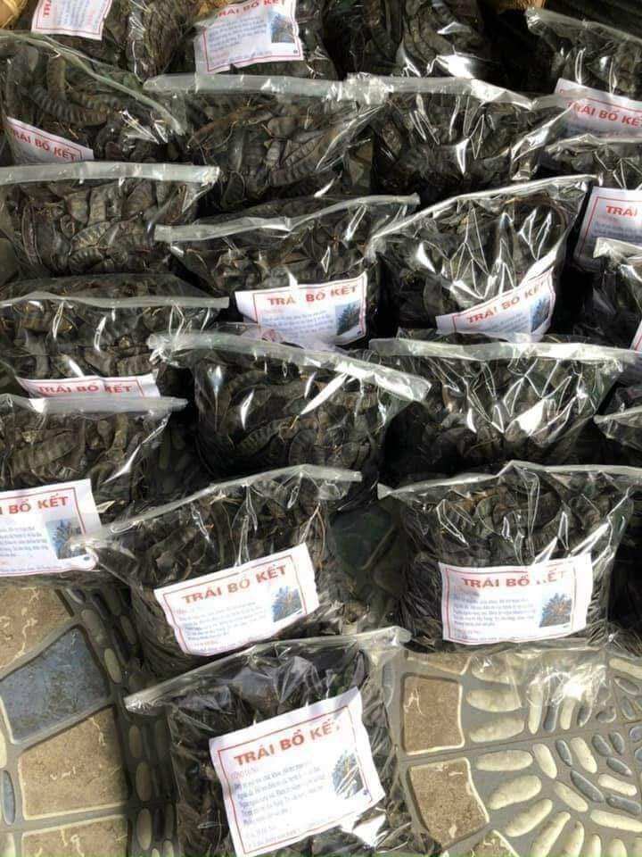 100gr Quả  Bồ Kết Khô