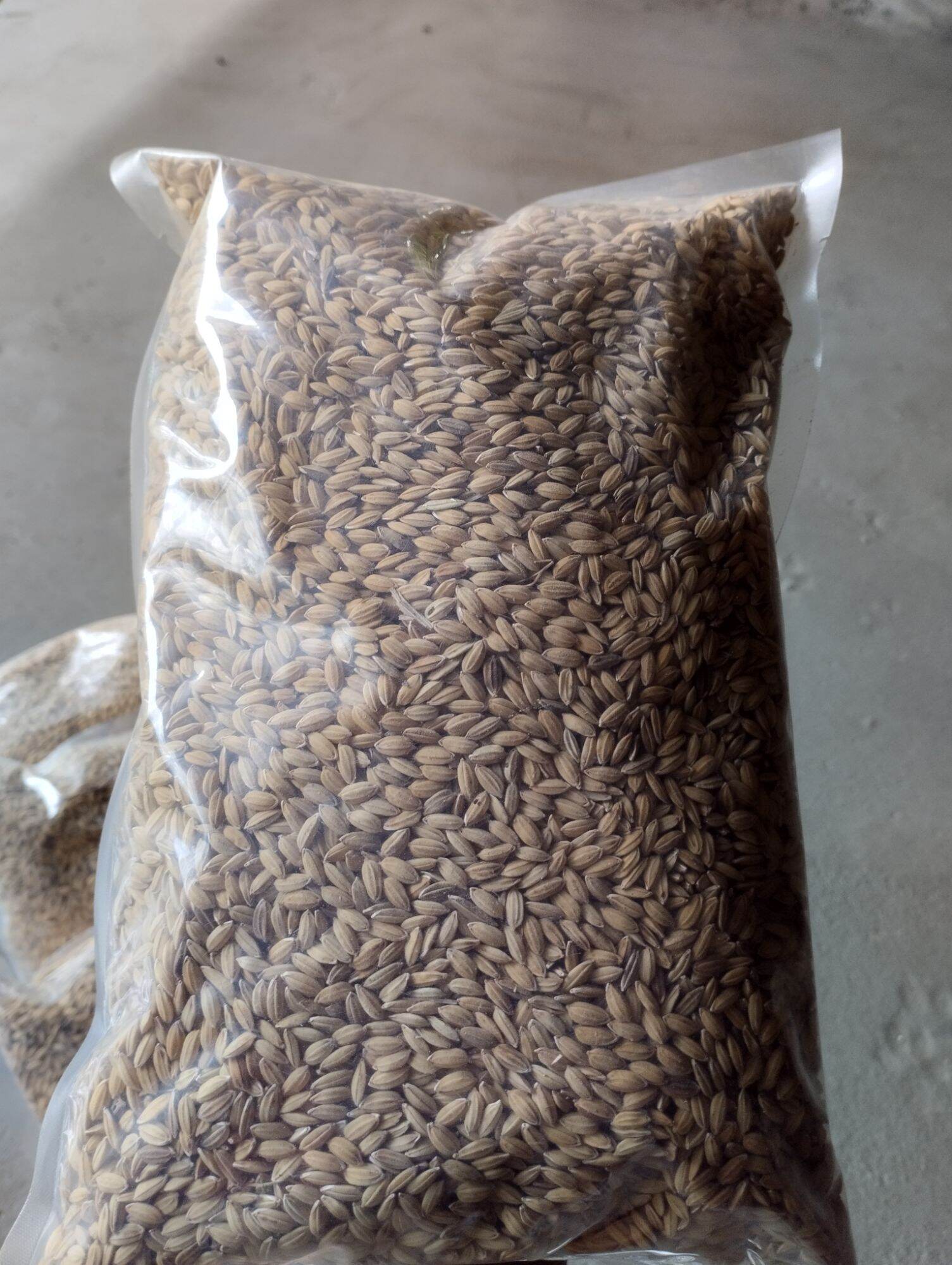 Giống lúa, giống thóc nếp cẩm