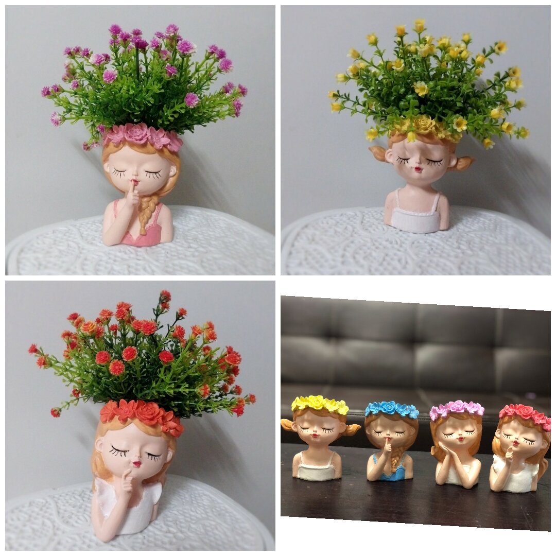 Chậu cô gái mini