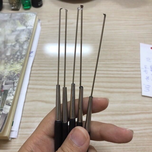 [HCM]Cây móc rái tai