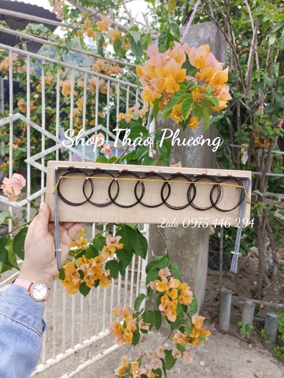Thòng bẫy chim cút