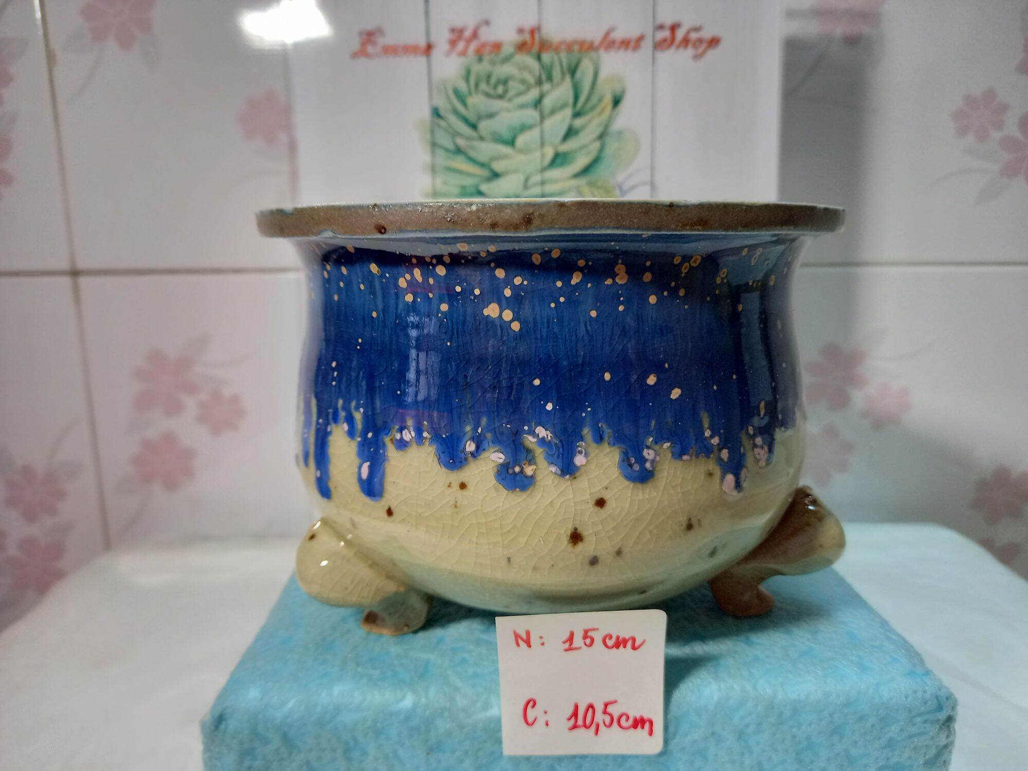 CHẬU NHẬP KHẨU- chậu chân ếch - chậu trồng sen đá-chậu trồng xương rồng- chậu men sứ cao cấp