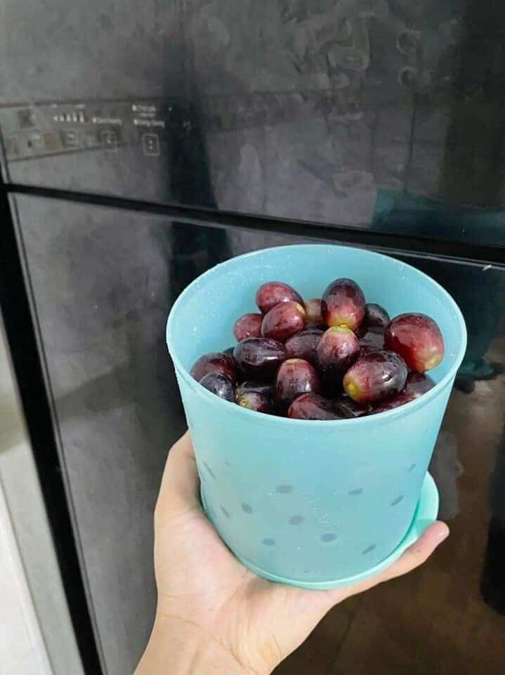 Hộp tròn trữ mát Roundtax 1 Lít Tupperware