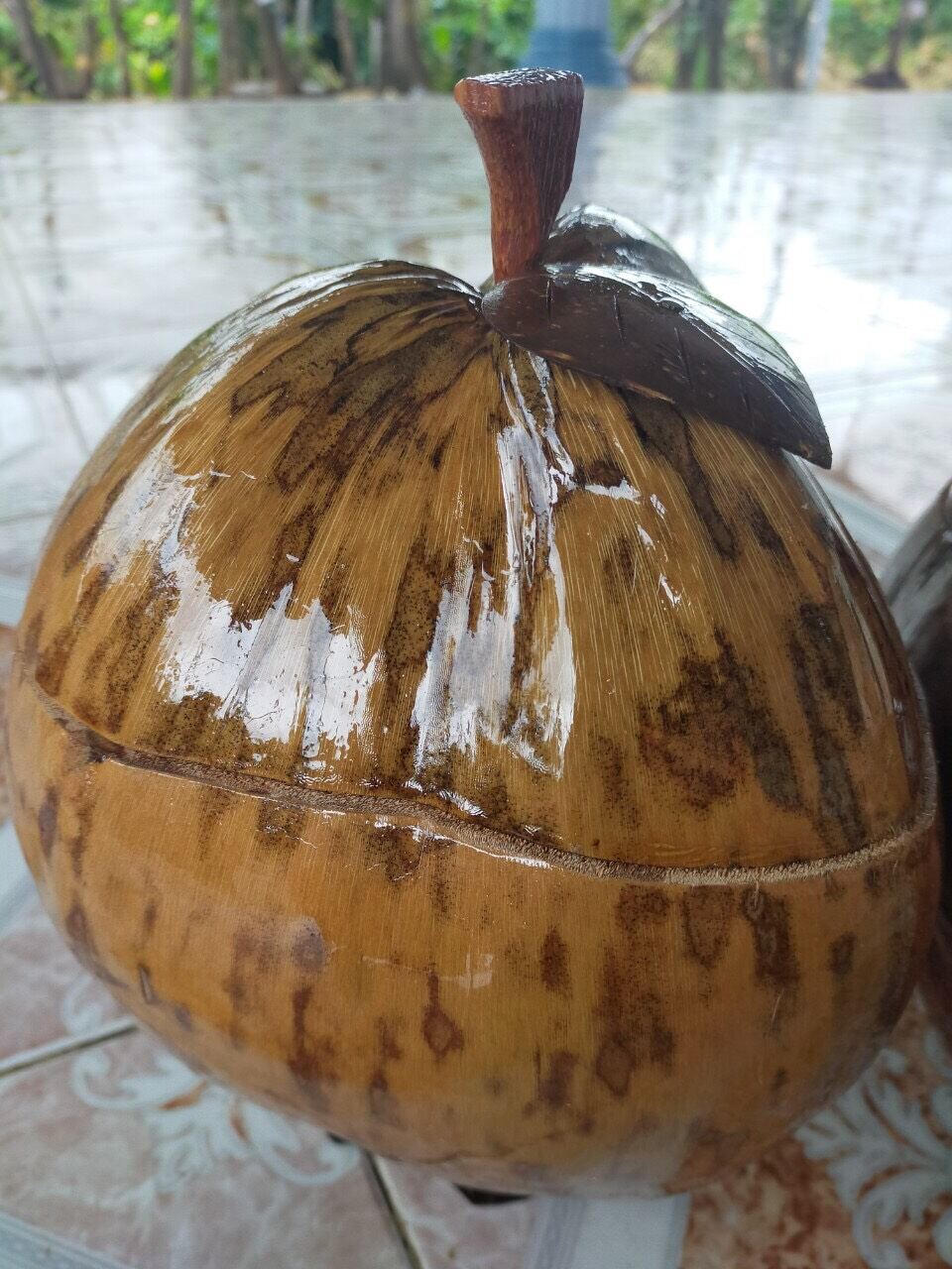 [ Giảm giá cực sốc] Bình ủ trà trái dừa